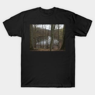 Devil's Bathtub T-Shirt